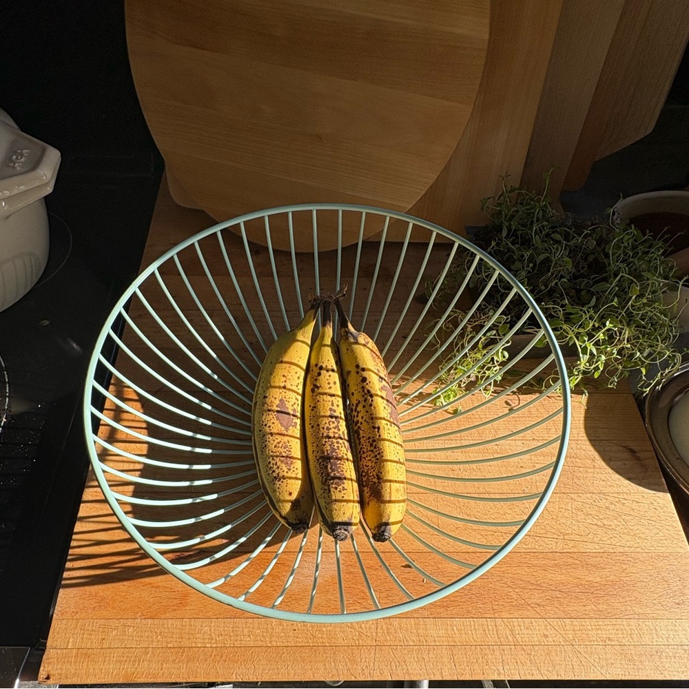 NWOT Scandi Inspired Robin’s Egg Blue Wire Basket